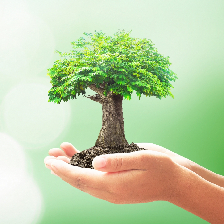 ENVIRONMENT 環境への取り組み